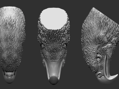Eagle Head 3D Print Model