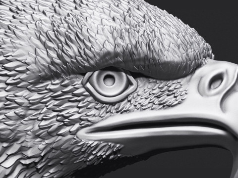 Eagle Head 3D Принт Модель