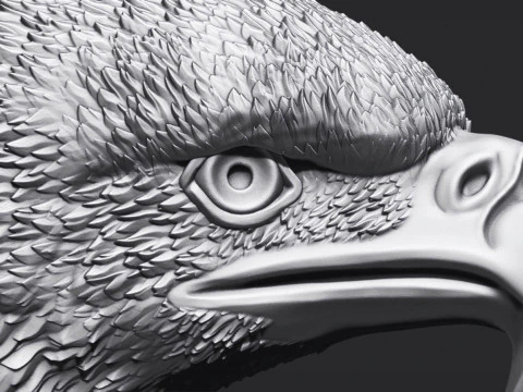Eagle Head 3D Print Model