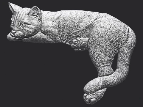 Lazy Cat Bas-Relief 3D 3D Print Model