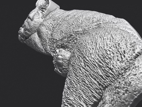 Lazy Cat Bas-Relief 3D 3D Принт Модель