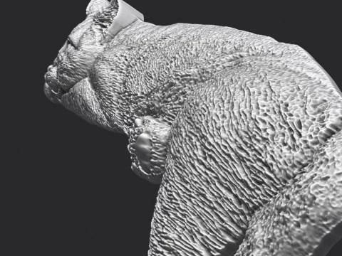 Lazy Cat Bas-Relief 3D 3D Print Model