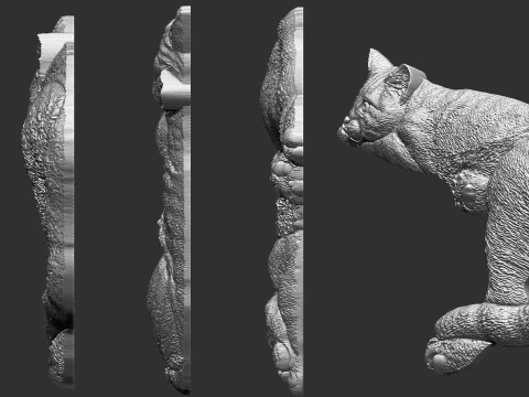 Lazy Cat Bas-Relief 3D 3D Print Model
