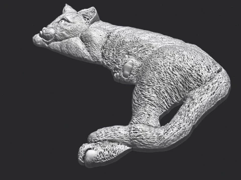 Lazy Cat Bas-Relief 3D 3D Print Model