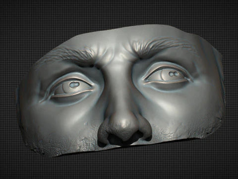 Male Face 3D Print Model