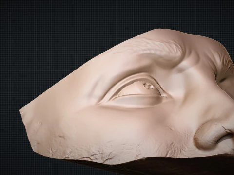 Male Face 3D Print Model
