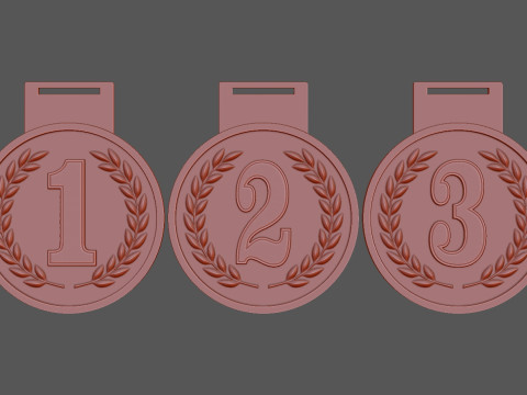 Award Medal 1st-2nd-3rd 3D Print Model