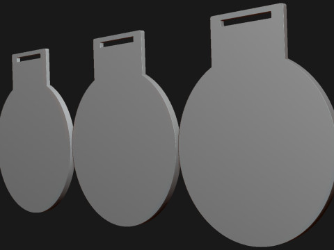 Award Medal 1st-2nd-3rd 3D Print Model