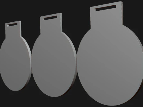 Award Medal 1st-2nd-3rd 3D Print Model
