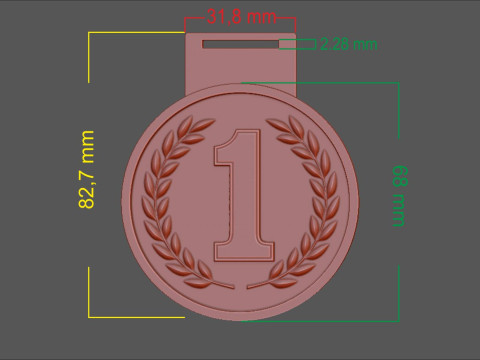 Award Medal 1st-2nd-3rd 3D Print Model