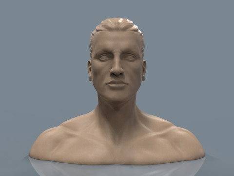 Male Head 3D 프린트 모델