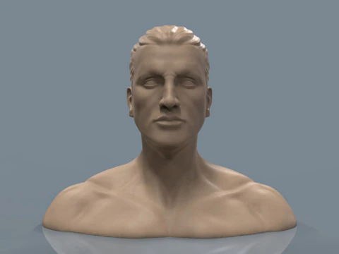 Male Head 3D Print Model