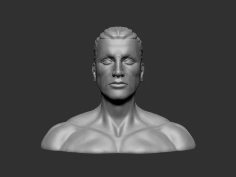 Male Head 3D Print Model