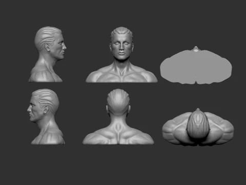 Male Head 3D Print Model