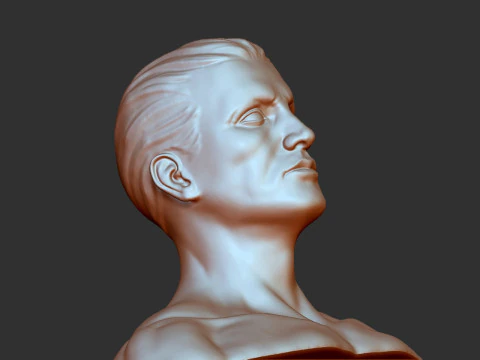 Male Head 3D Print Model