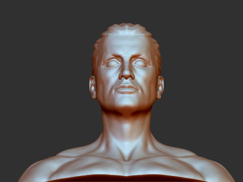 Male Head 3D Print Model
