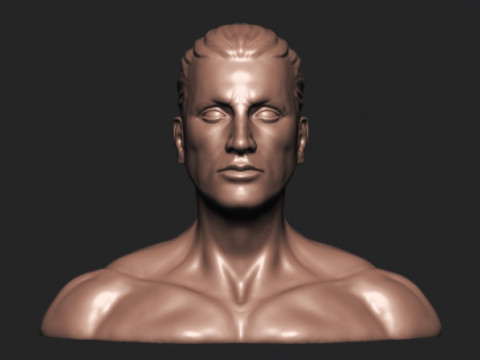 Male Head Modello di stampa 3D