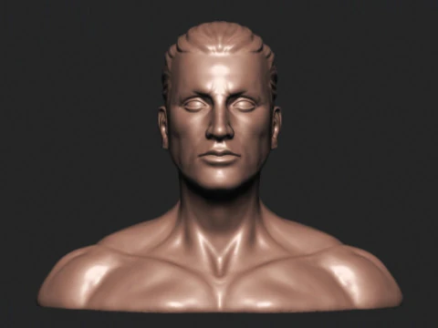 Male Head 3D Print Model