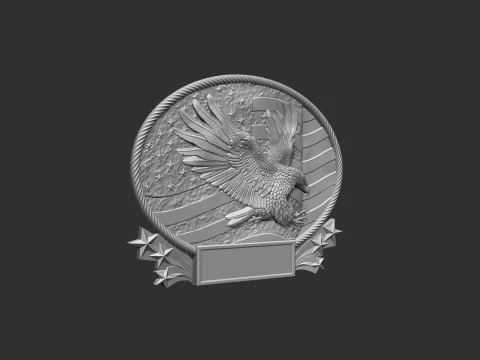 American Flag and Eagle 3D Print Model