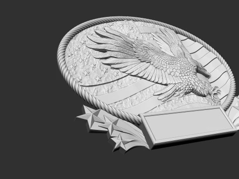 American Flag and Eagle 3D Print Model