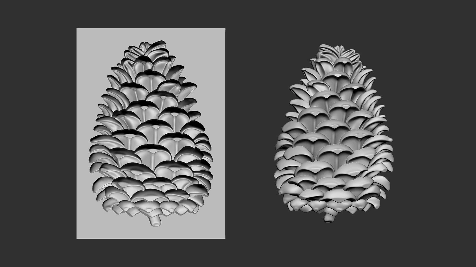 Pine cone cookie stamp 3D Print Model .c4d .max .obj .3ds .fbx .stl .blend 