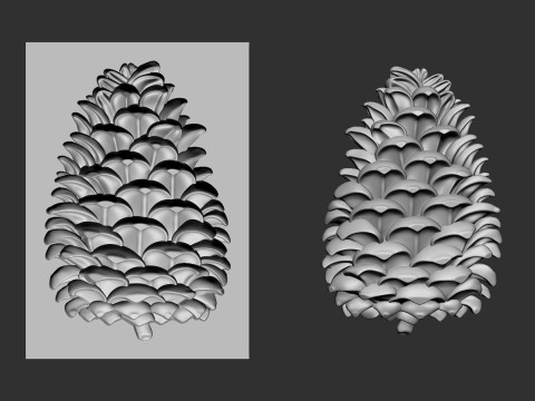 Pine cone cookie stamp 3D Druckmodell