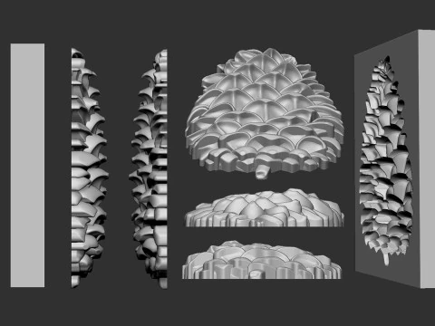 Pine cone cookie stamp 3D Print Model