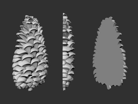 Pine cone cookie stamp 3D Druckmodell