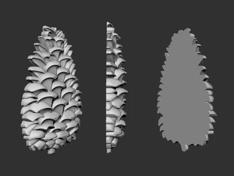 Pine cone cookie stamp 3D Print Model