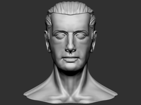 Male Head 3D 프린트 모델