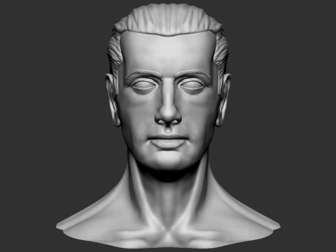 Male Head 3D Print Model