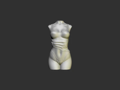 Female Torso 3D Print Model
