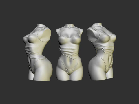 Female Torso 3D Print Model
