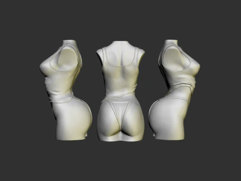 Female Torso 3D Print Model