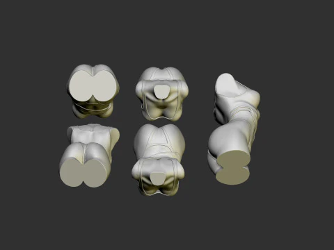 Female Torso 3D Print Model