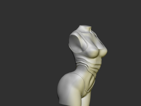 Female Torso 3D Принт Модель