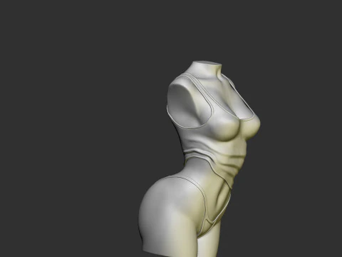 Female Torso 3D Print Model