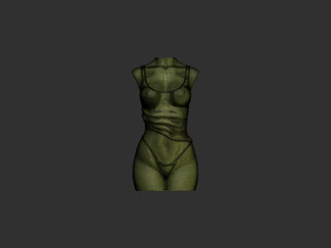 Female Torso 3D Print Model
