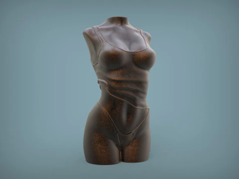 Female Torso 3D Print Model