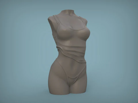 Female Torso 3D Print Model