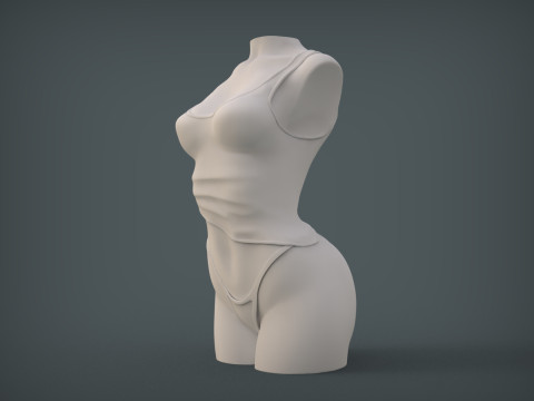 Female Torso 3D Принт Модель