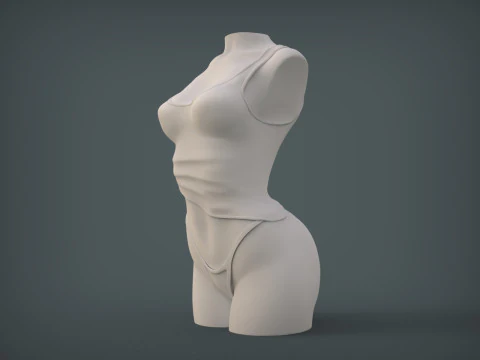 Female Torso 3D Print Model