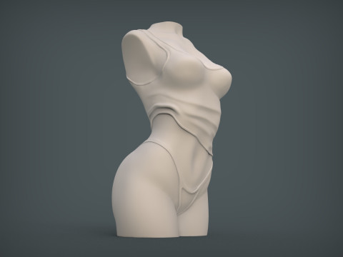 Female Torso 3D Принт Модель