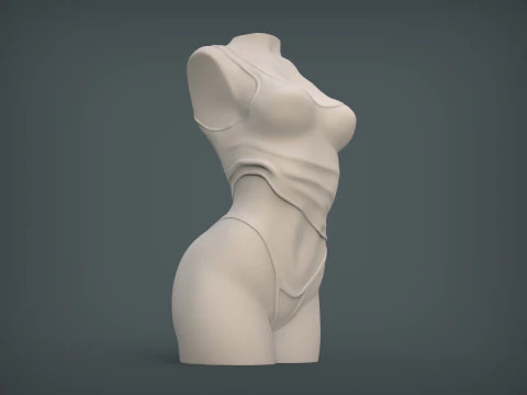 Female Torso 3D Print Model