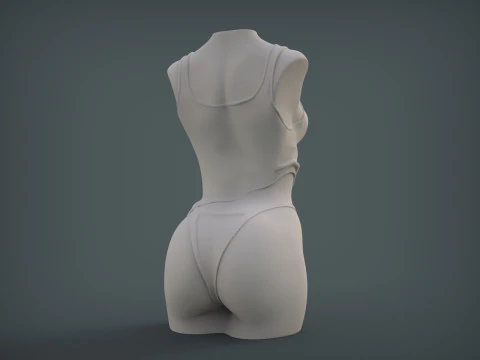 Female Torso 3D Print Model