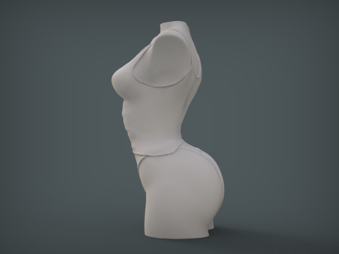 Female Torso 3D Принт Модель