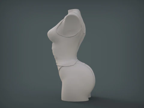 Female Torso 3D Print Model