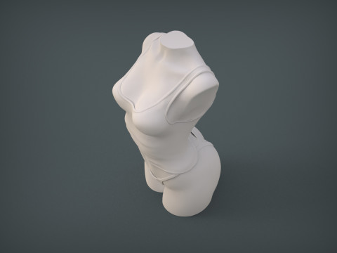 Female Torso 3D Принт Модель