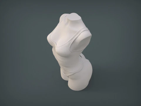 Female Torso 3D Print Model