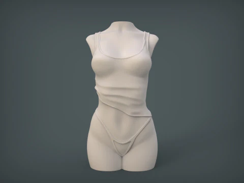 Female Torso 3D Print Model